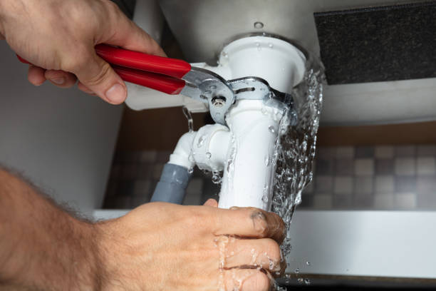 Best Mold removal after water damage  in Seabrook, MD