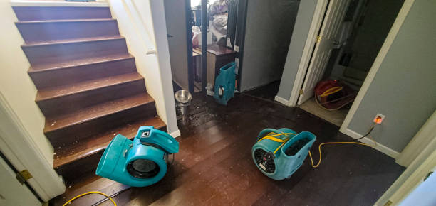 Best Water damage restoration company  in Seabrook, MD