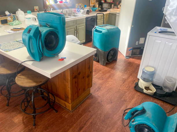  Seabrook, MD Water damage restoration Pros