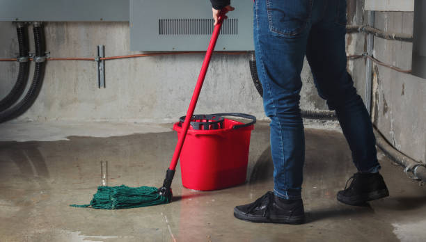 Best Residential water damage restoration  in Seabrook, MD