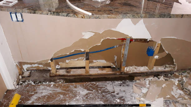 Best Water damage mitigation services  in Seabrook, MD