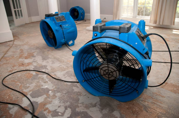 Best Local water damage restoration  in Seabrook, MD