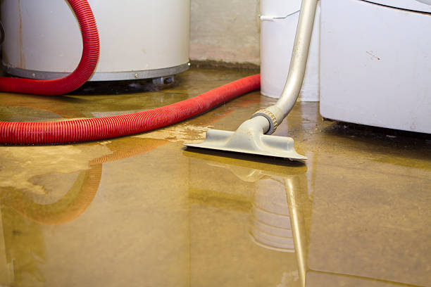 Best Ceiling water damage repair  in Seabrook, MD