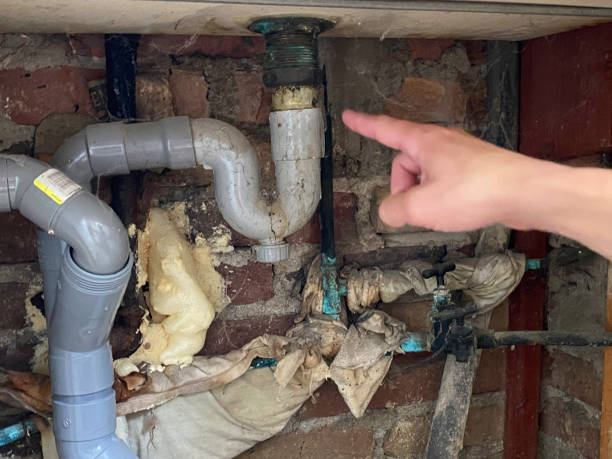 Reliable Seabrook, MD Water damage restoration Solutions