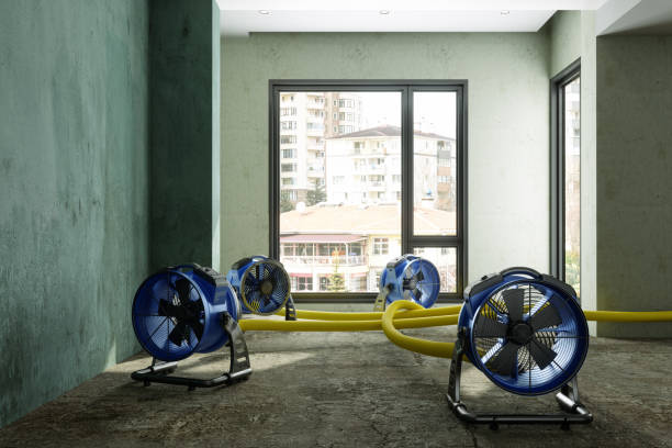 Best Water damage contractors near me  in Seabrook, MD